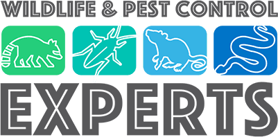Wildlife and Pest Control Experts